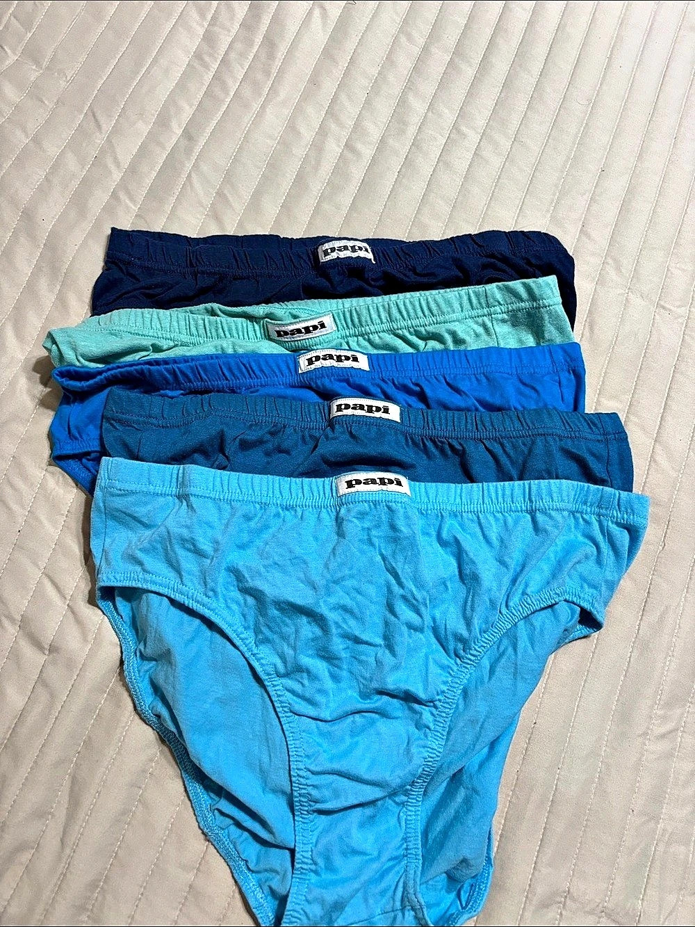 5 pack Papi Men's Cotton Low Rise Briefs Blue Large
